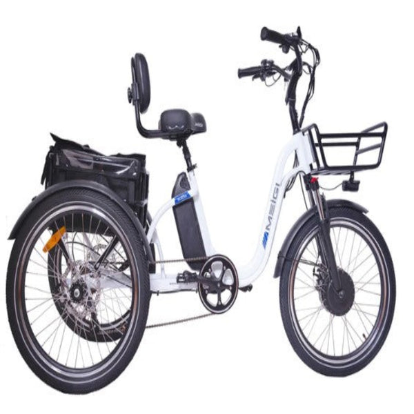 DWMEIGI Blazer Electric Tricycle