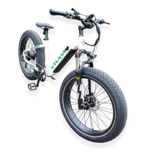 Pushpak Motors Vtuvia Reindeer Fat Tire Electric Bike