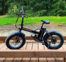 Aostirmotor A20 Fat Tire Folding Electric Bike