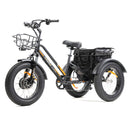 DWMEIGI Electric Fat Tricycle MG1703