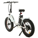 Ecotric Dolphin Portable and Folding Fat Bike UL Certified