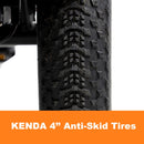 DWMEIGI Electric Fat Tricycle MG1703