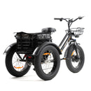 DWMEIGI Electric Fat Tricycle MG1703