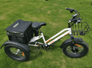 DWMEIGI Electric Fat Tricycle MG1703