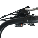 DWMEIGI Electric Fat Tricycle MG1703