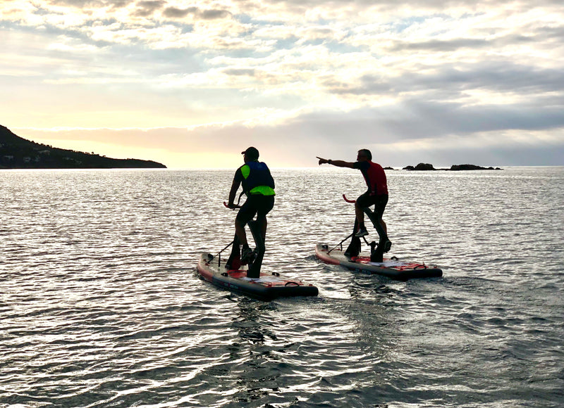 Red Shark Fitness Bike Surf