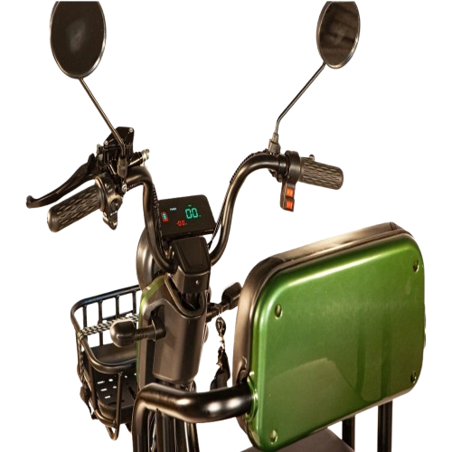 Vista de cerca posterior de los controles del manillar (tiller) del scooter eléctrico para dos personas Pushpak Motors-Pushpak 3500 en color verde