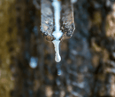 Close Up View Of Tree Sap Highlighting The Tree Sap Material Used In The Eurolux Prive: The 10-Layer Luxury Mattress Crafted By Masters