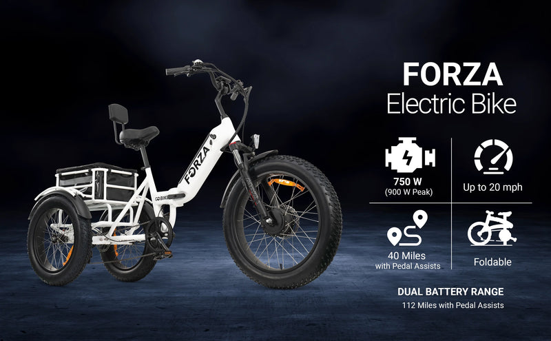 GoBike Forza Electric Tricycle With Storage