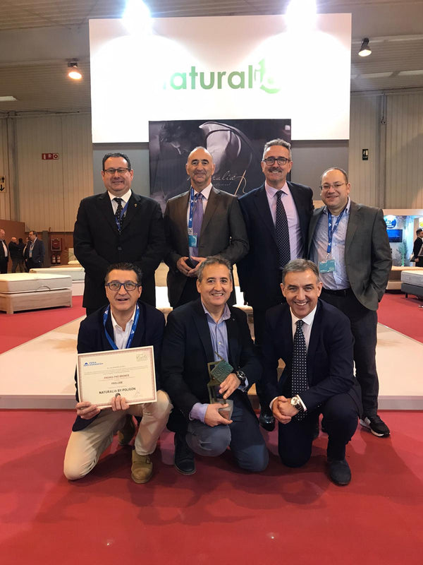 Front Centered View Of The Designers Of The Eurolux Natur: The 6-Layer Luxury Mattress Crafted By Masters Shown In A Showroom Setting