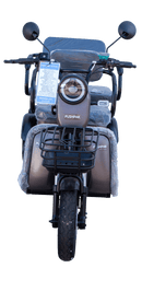 Front Centered View Of The Pushpak Motors- Pushpak 7000 Two-Person Electric Scooter Shown In Gray Color
