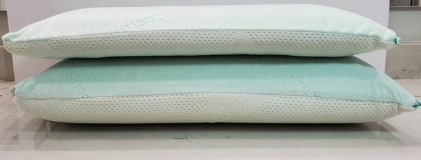 Front Centered View Of Two Eurolux Green Planet Pillows Stacked On Each Other Shown In A Studio Setting