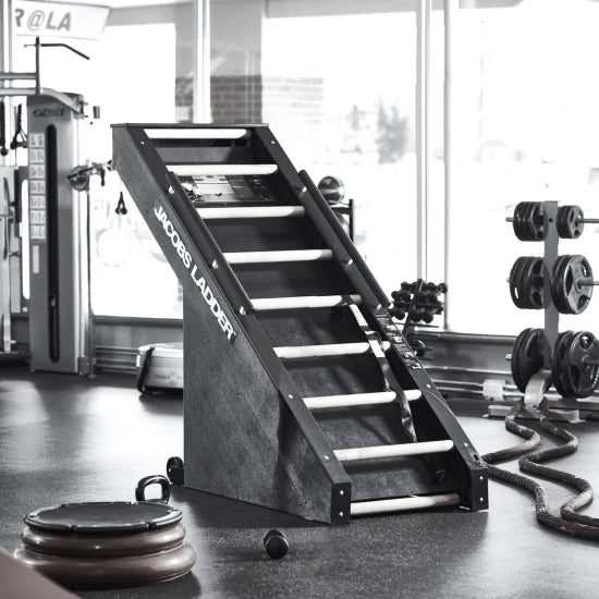 Front View Of The StairMaster Jacob's Ladder Stair Climber In A Gym Setting
