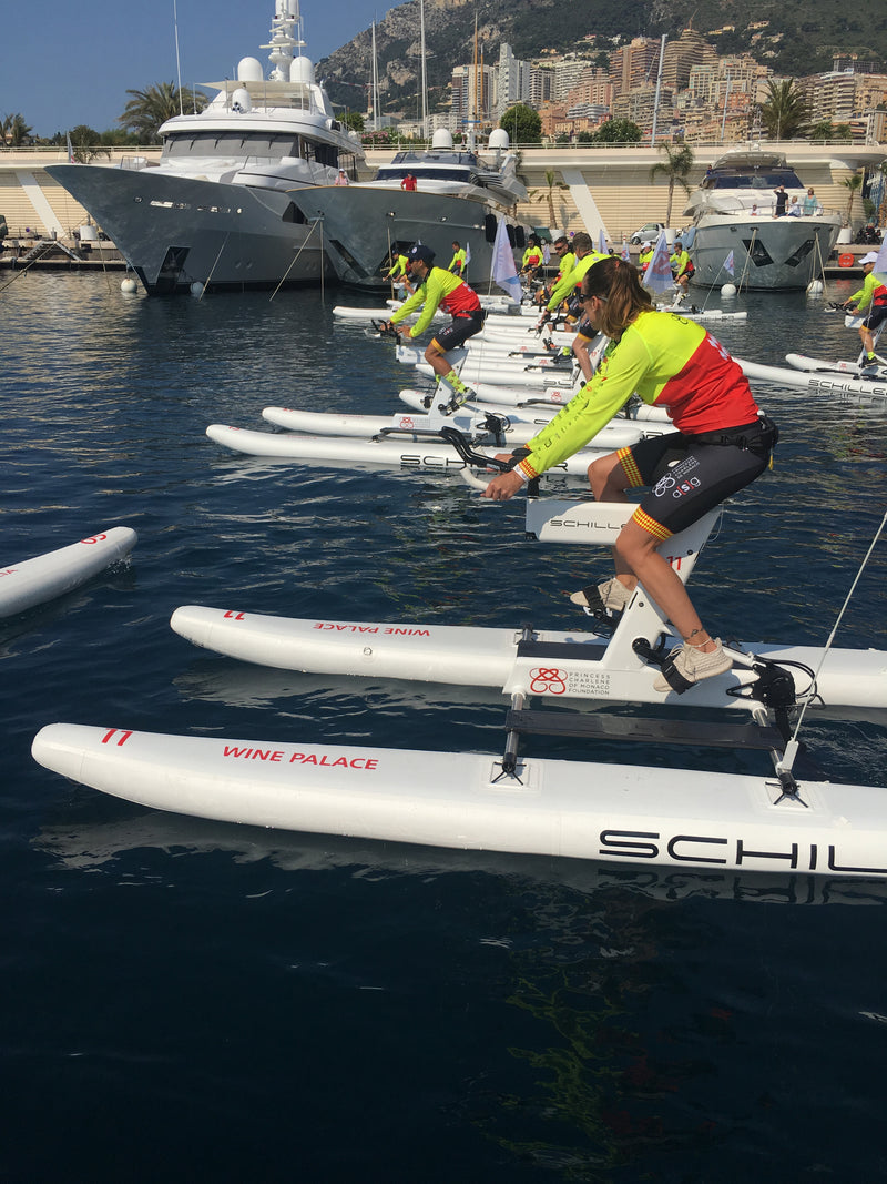 Schiller S1-C Water Bike