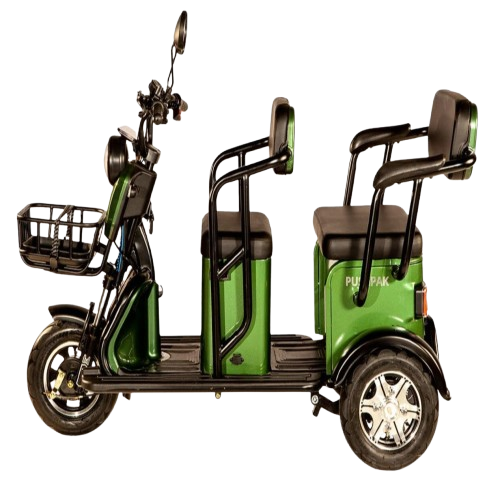 Vista lateral izquierda del scooter eléctrico para dos personas Pushpak Motors-Pushpak 3500 en color verde