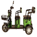 Vista lateral izquierda del scooter eléctrico para dos personas Pushpak Motors-Pushpak 3500 en color verde