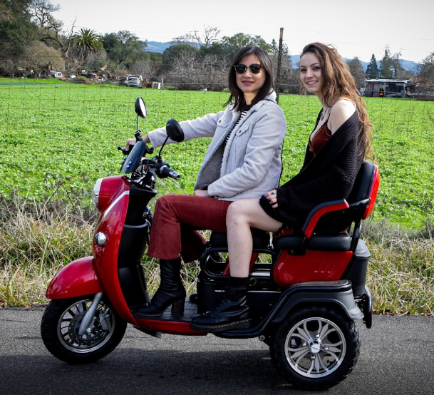 Pushpak Motors- Pushpak 1000 Two-Person Electric Scooter