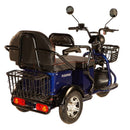 Pushpak Motors- Pushpak 2000 Two-Person Recreational Scooter