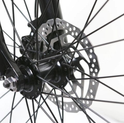 Nakto Santa Monica Fat Tire E-Bike