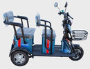 Pushpak Motors- Pushpak 3500 Two-Person Electric Scooter