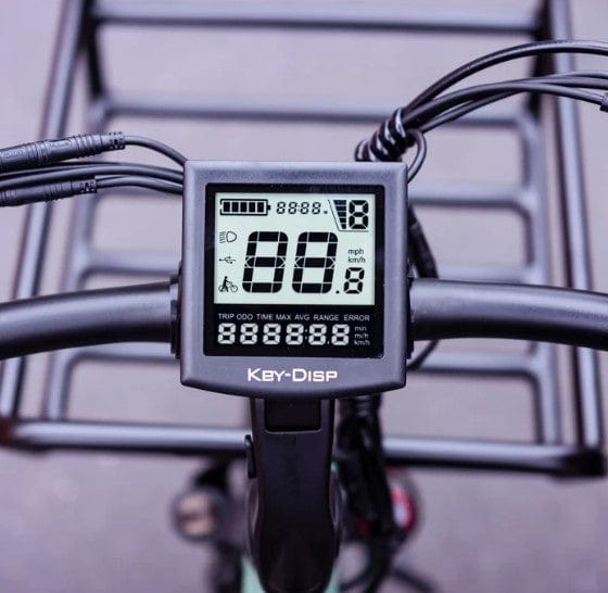 DWMEIGI Blazer Electric Tricycle