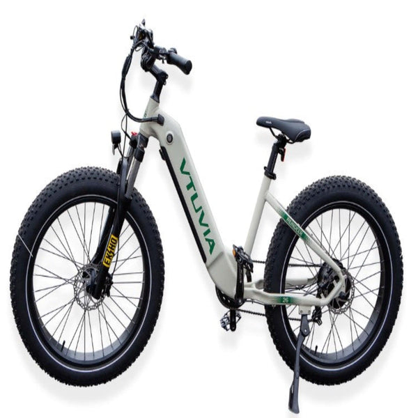 Pushpak Motors Vtuvia Reindeer Fat Tire Electric Bike