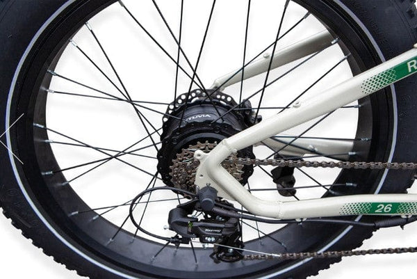 Pushpak Motors Vtuvia Reindeer Fat Tire Electric Bike