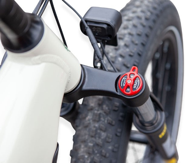 Pushpak Motors Vtuvia Reindeer Fat Tire Electric Bike