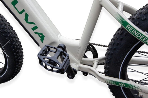 Pushpak Motors Vtuvia Reindeer Fat Tire Electric Bike