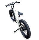Pushpak Motors Vtuvia Reindeer Fat Tire Electric Bike