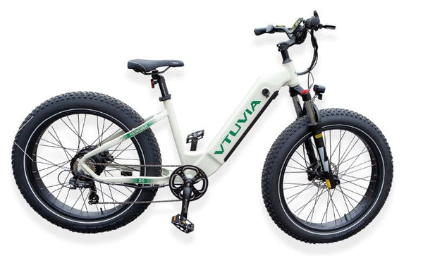 Pushpak Motors Vtuvia Reindeer Fat Tire Electric Bike