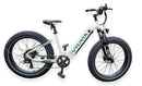 Pushpak Motors Vtuvia Reindeer Fat Tire Electric Bike