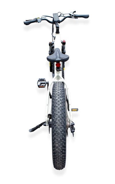 Pushpak Motors Vtuvia Reindeer Fat Tire Electric Bike