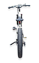 Pushpak Motors Vtuvia Reindeer Fat Tire Electric Bike