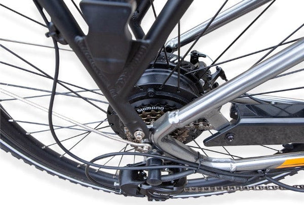 Pushpak Motors Vtuvia Giraffe Electric Bike