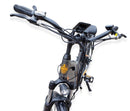 Pushpak Motors Vtuvia Giraffe Electric Bike