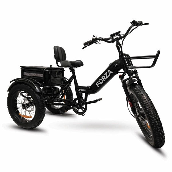 GoBike Forza Electric Tricycle With Storage