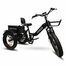 GoBike Forza Electric Tricycle With Storage