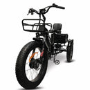 GoBike Forza Electric Tricycle With Storage