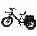 GoBike Forza Electric Tricycle With Storage