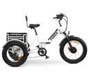 GoBike Forza Electric Tricycle With Storage