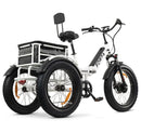 GoBike Forza Electric Tricycle With Storage