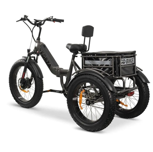 GoBike Forza Electric Tricycle With Storage