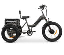 GoBike Forza Electric Tricycle With Storage