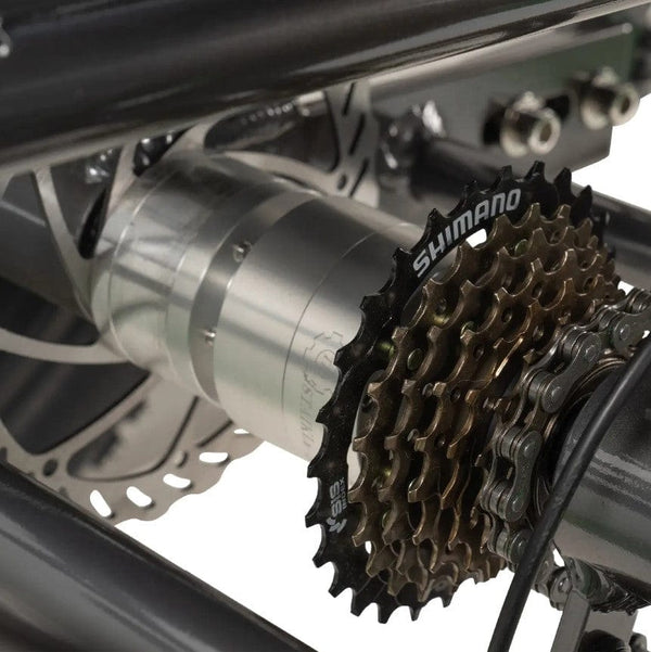 GoBike Forza Electric Tricycle With Storage