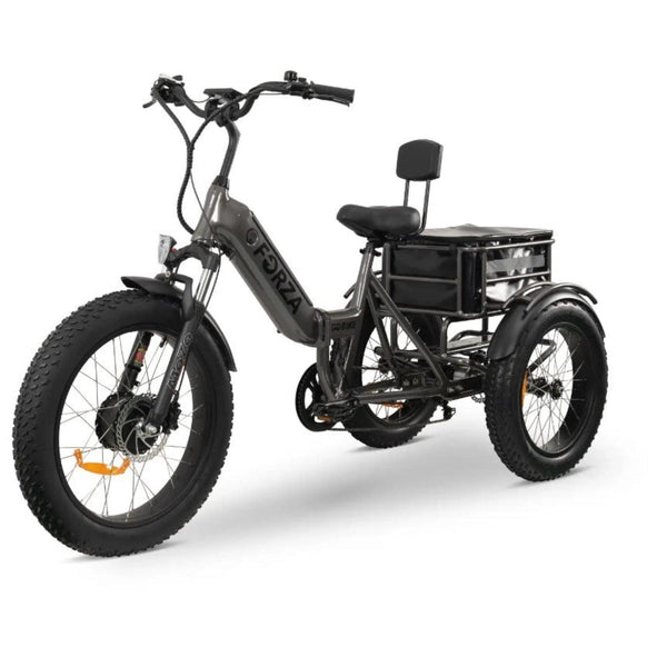 GoBike Forza Electric Tricycle With Storage