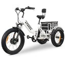 GoBike Forza Electric Tricycle With Storage