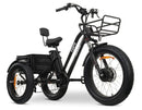 GoBike Forte Electric Tricycle