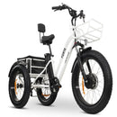 GoBike Forte Electric Tricycle