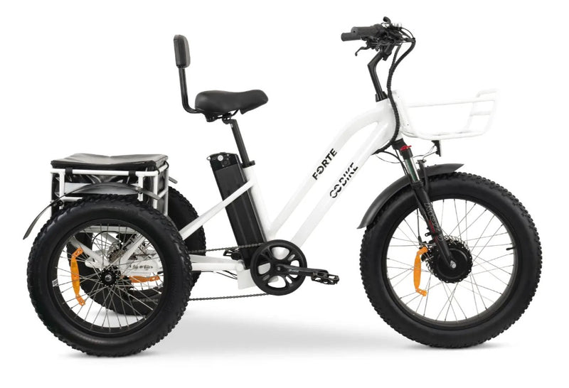 GoBike Forte Electric Tricycle